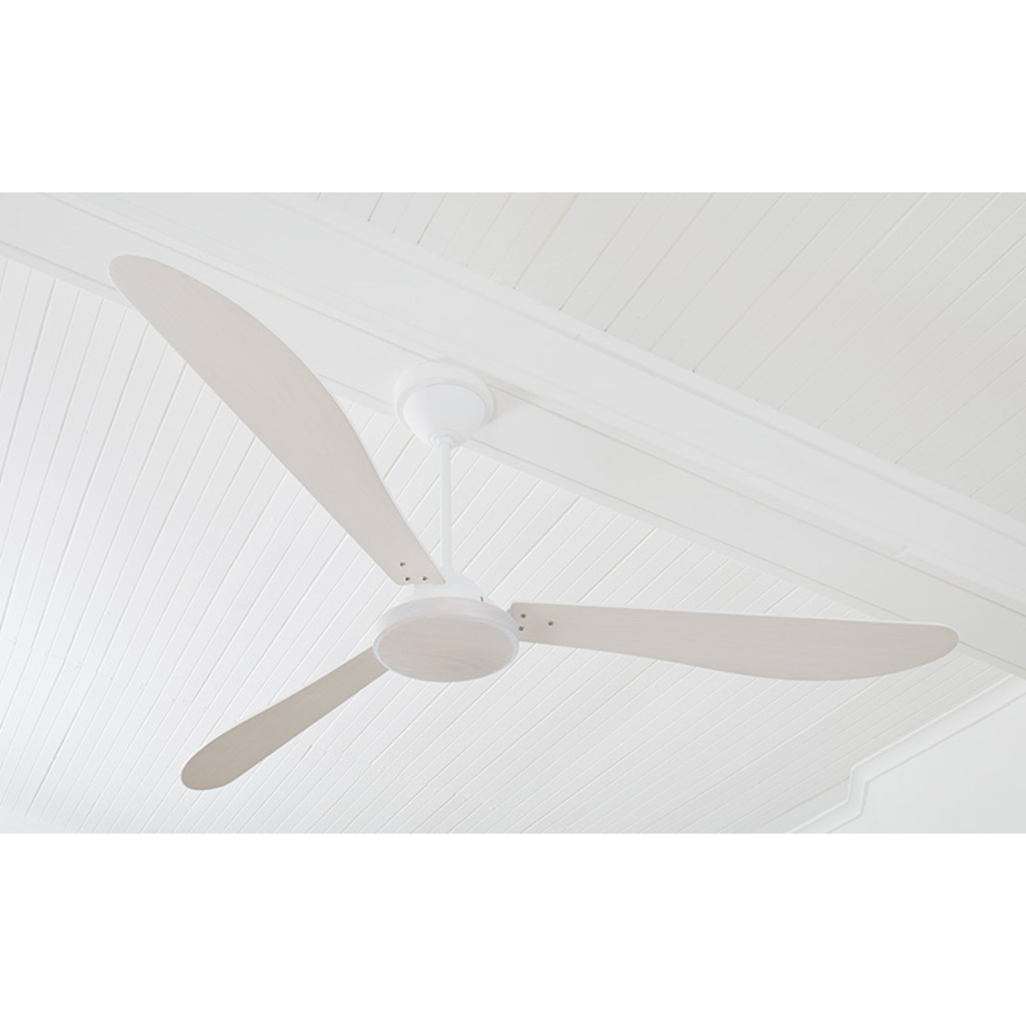1.8m Paddle Handcrafted Hardwood Ceiling Fan in white ash limewash finish, featuring minimalist light-toned blades ideal for modern white ceilings.